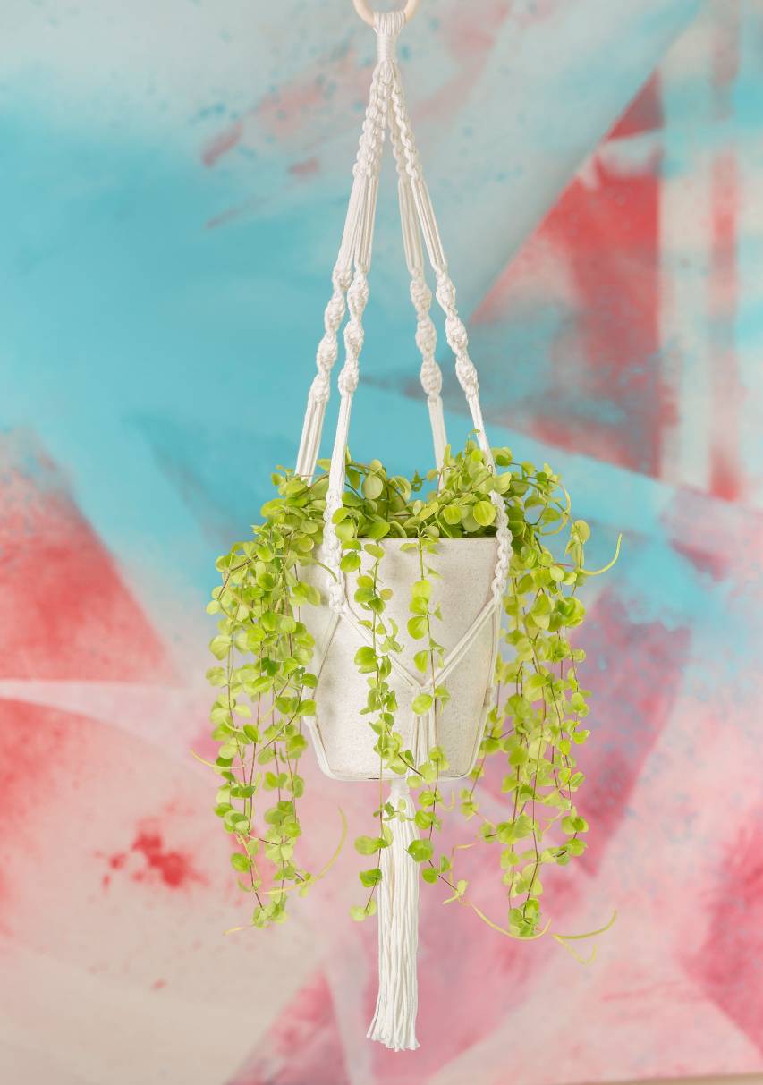 Amppeli - Catania Grande