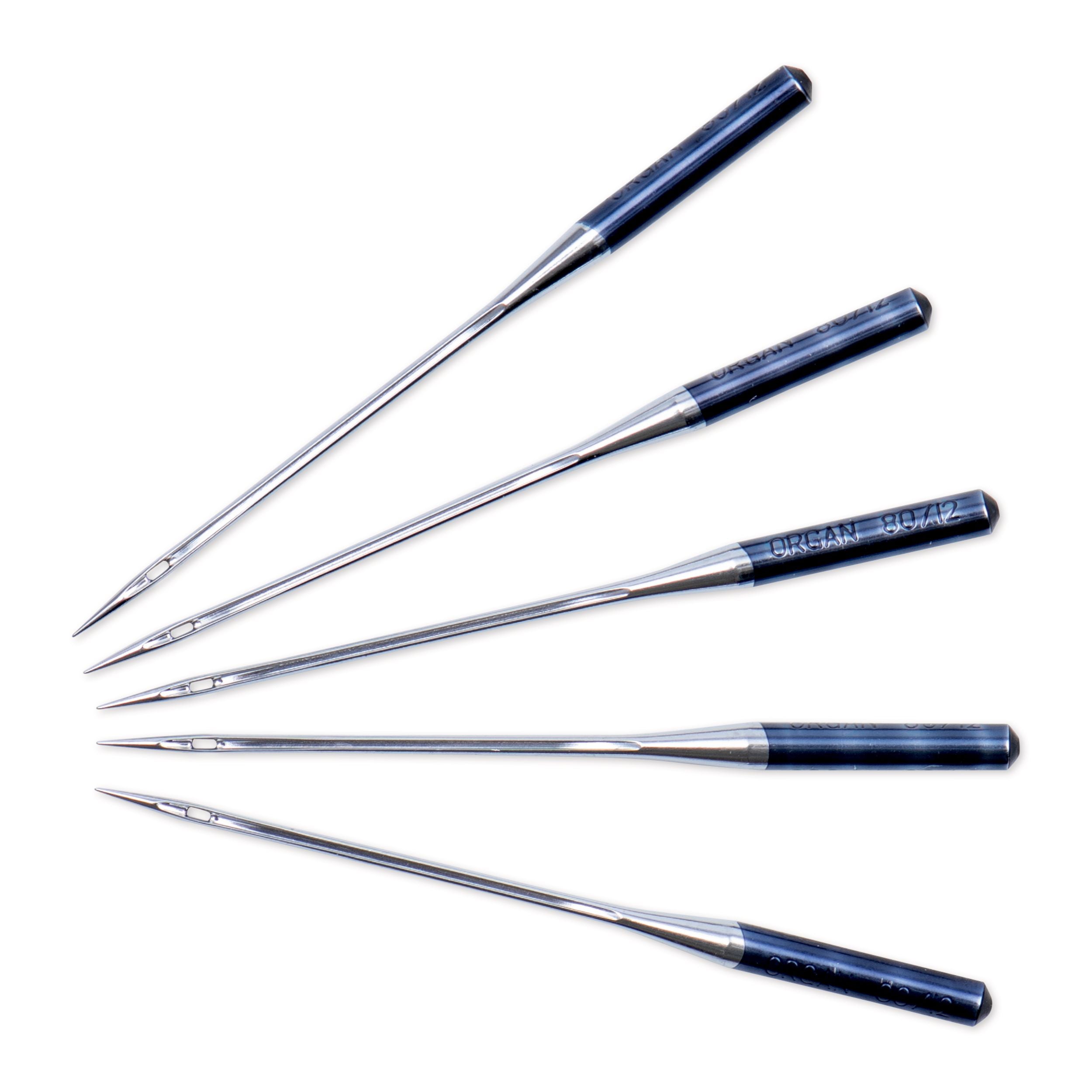 Saumurineula ELx705 SUK CF80